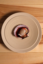 Photo of Shell with fresh scallop on wooden table, top view