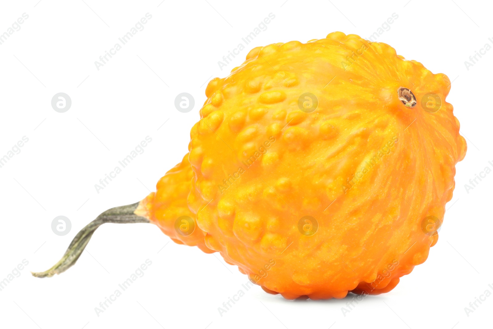 Photo of One fresh orange pumpkin isolated on white