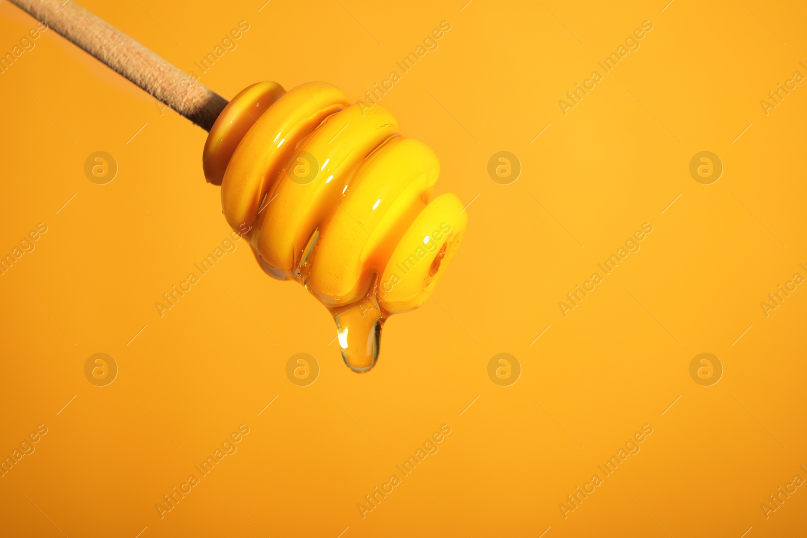 Photo of Dipper with dripping honey on color background, closeup. Space for text