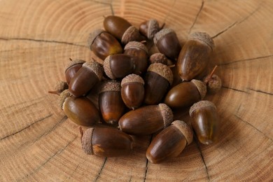 Photo of Pile of acorns on tree stump. Nut of oak