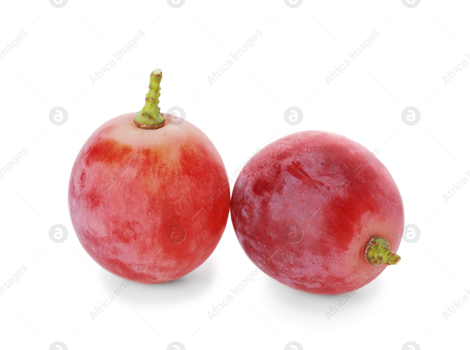 Photo of Two ripe red grapes isolated on white