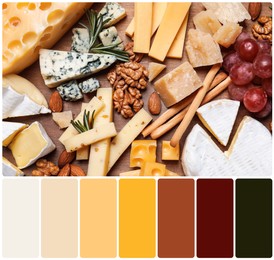 Top view of cheese plate with grapes and nuts on wooden board and color palette. Collage