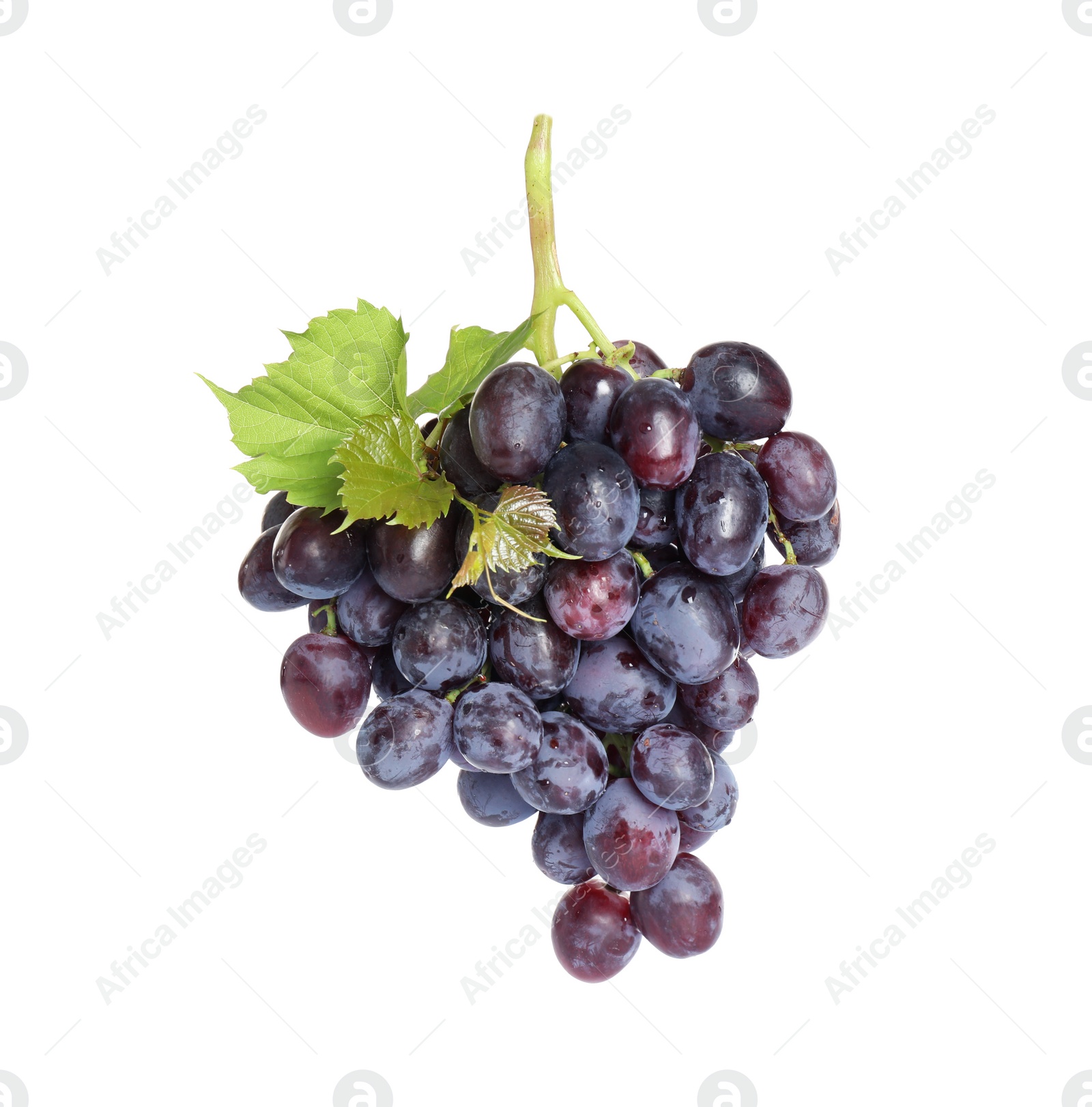 Photo of Bunch of fresh ripe juicy grapes isolated on white