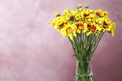 Photo of Vase with beautiful chrysanthemum flowers on pink background, closeup. Space for text