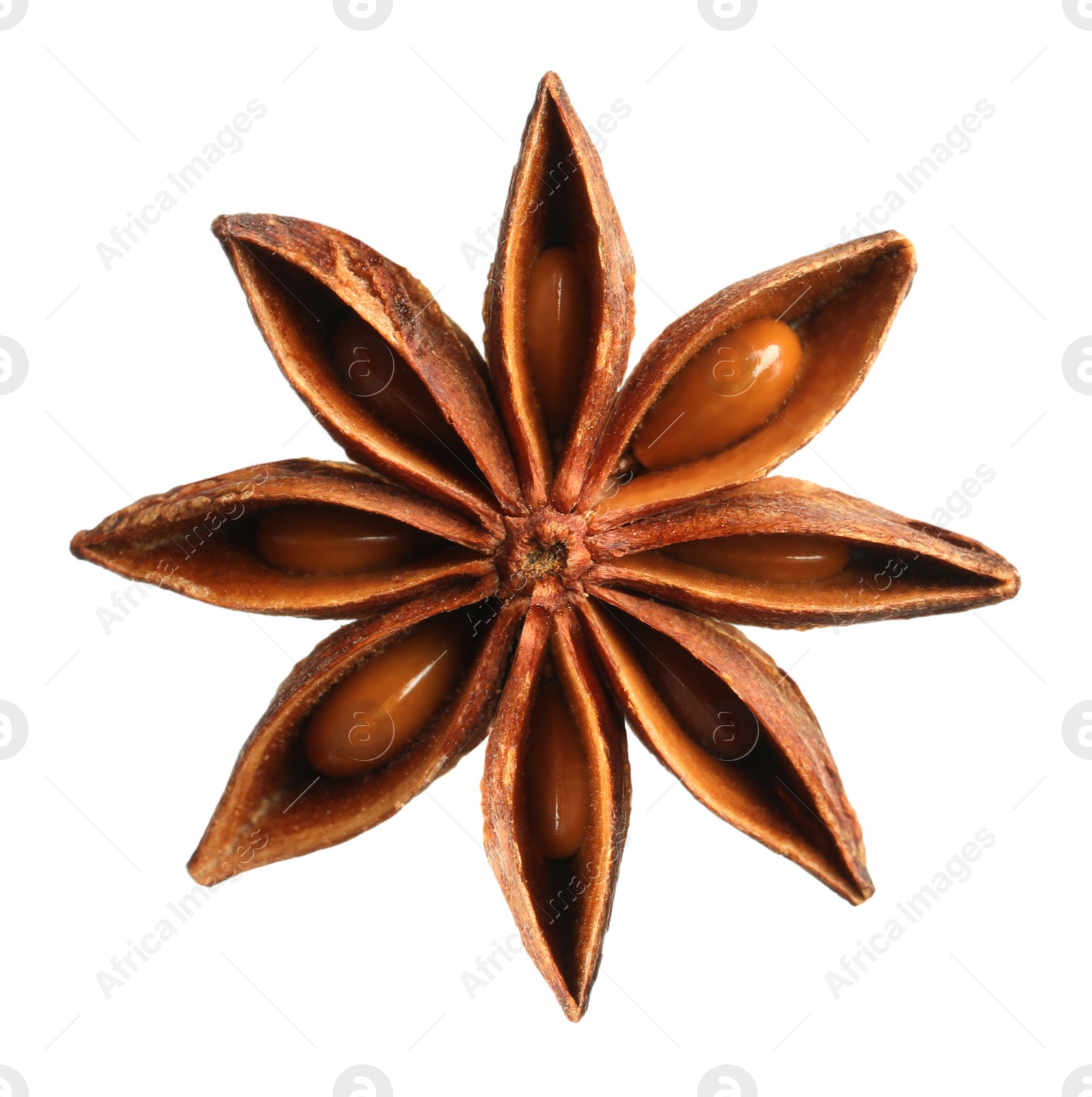 Image of Aromatic dry anise star isolated on white