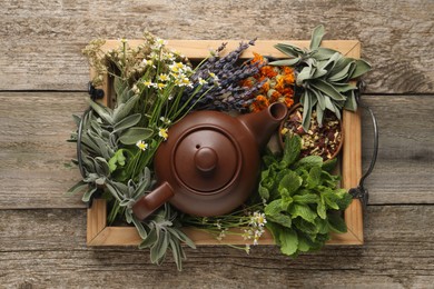 Tray with teapot surrounded by different herbs on wooden table, top view