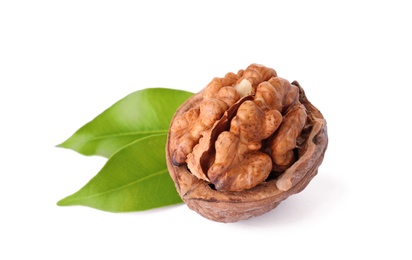Walnut in shell and green leaves on white background