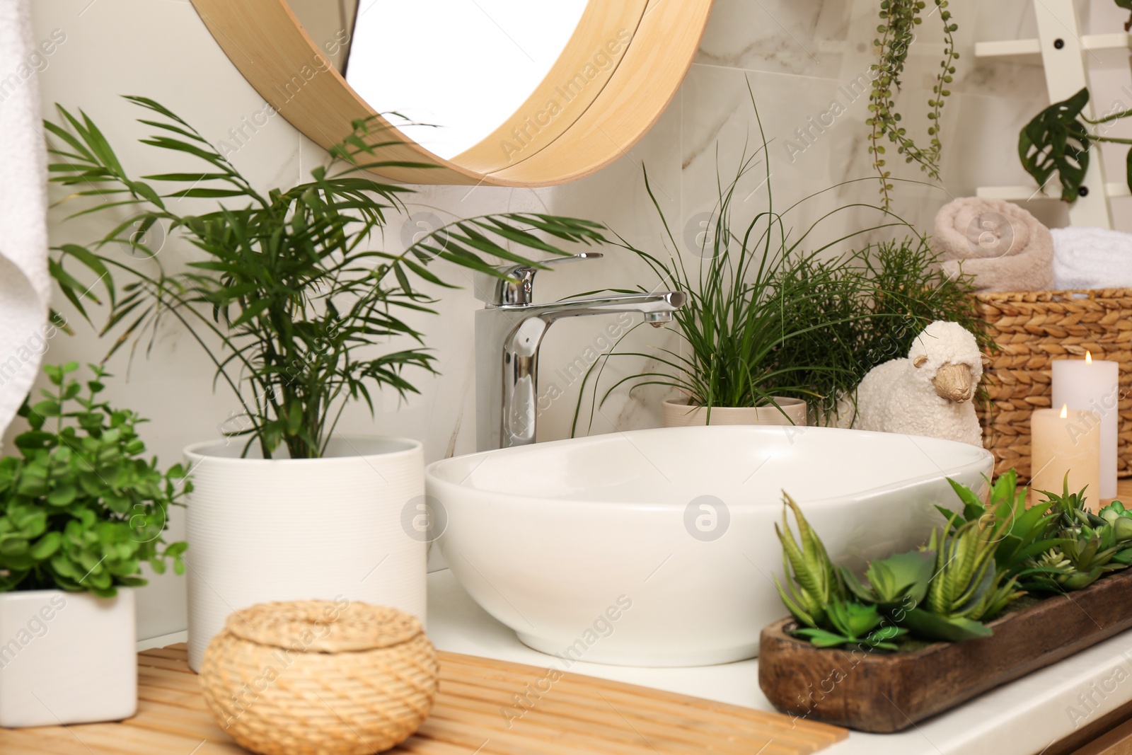 Photo of Counter with sink and many different houseplants near white marble wall