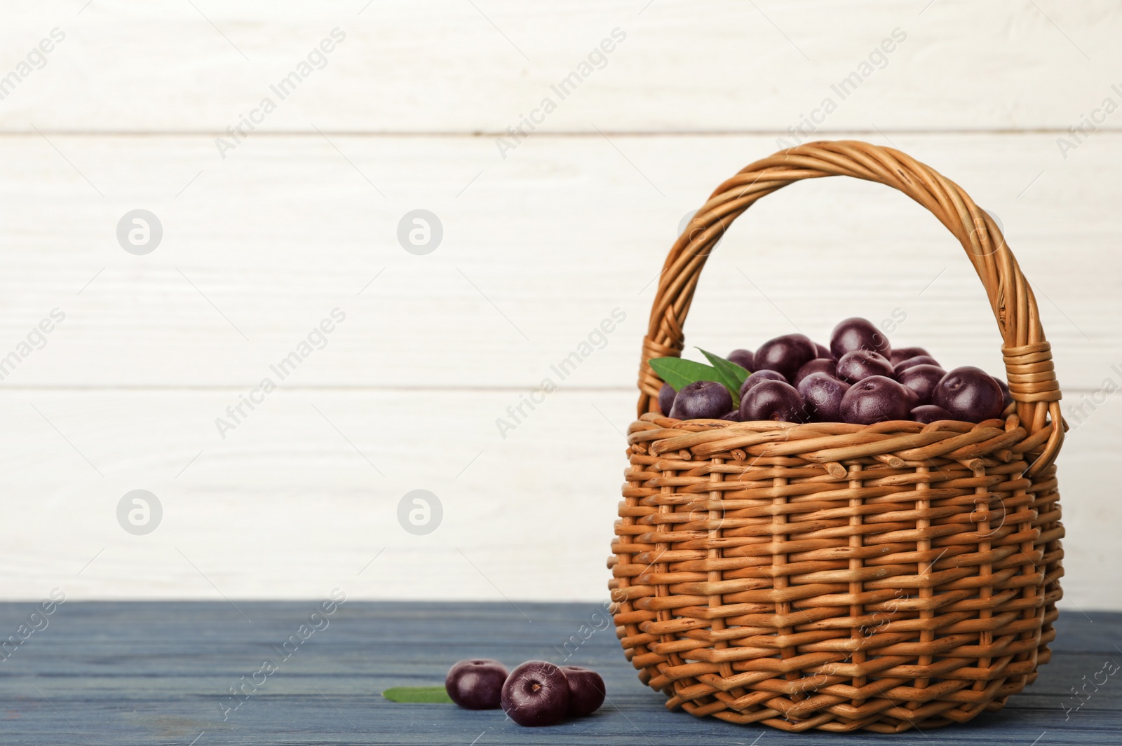 Photo of Wicker basket of fresh acai berries on blue wooden table against white background, space for text