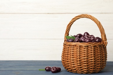 Photo of Wicker basket of fresh acai berries on blue wooden table against white background, space for text