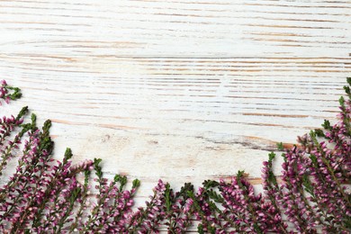 Heather branches with beautiful flowers on white wooden table, flat lay. Space for text