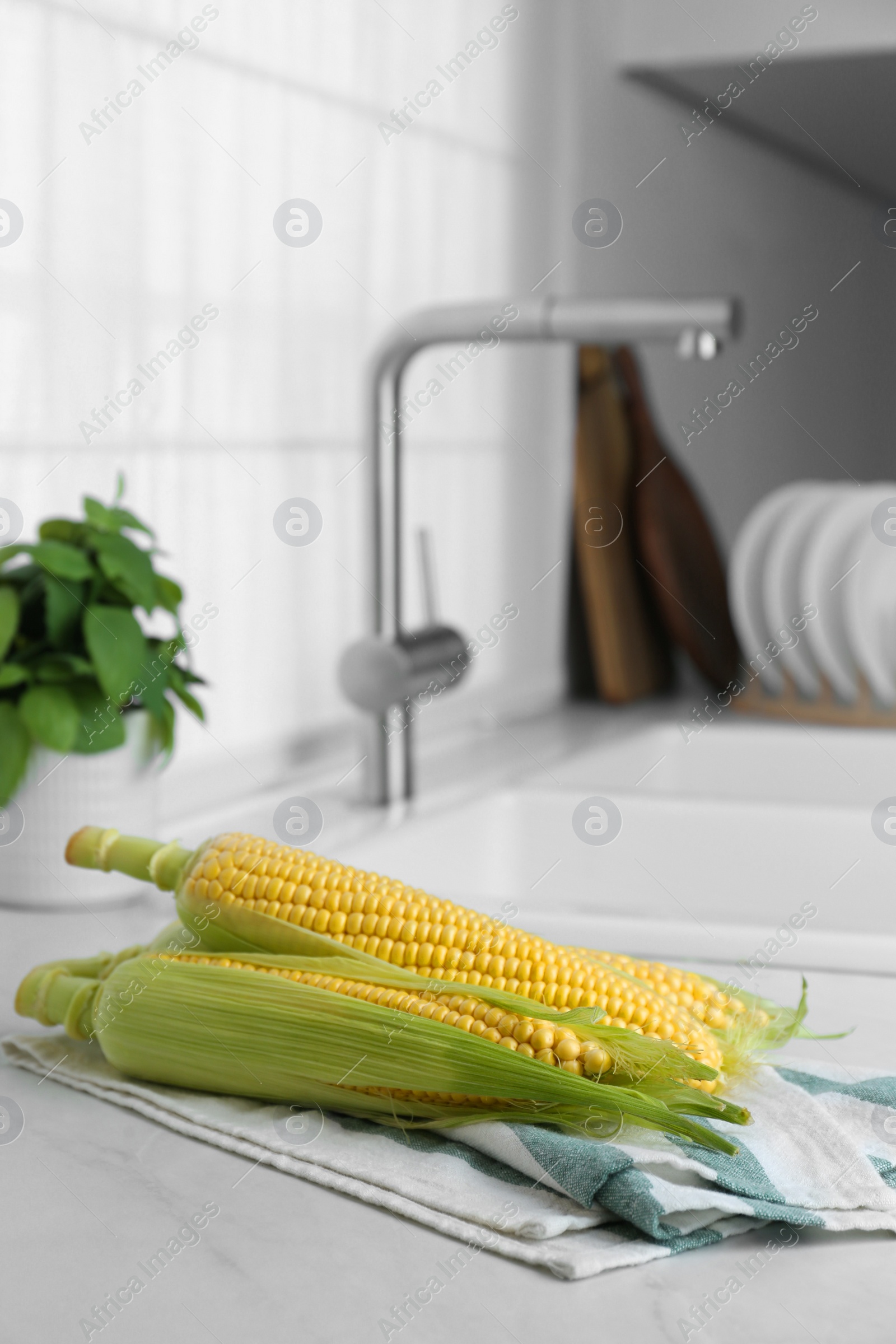 Photo of Tasty sweet corn cobs on white countertop in kitchen