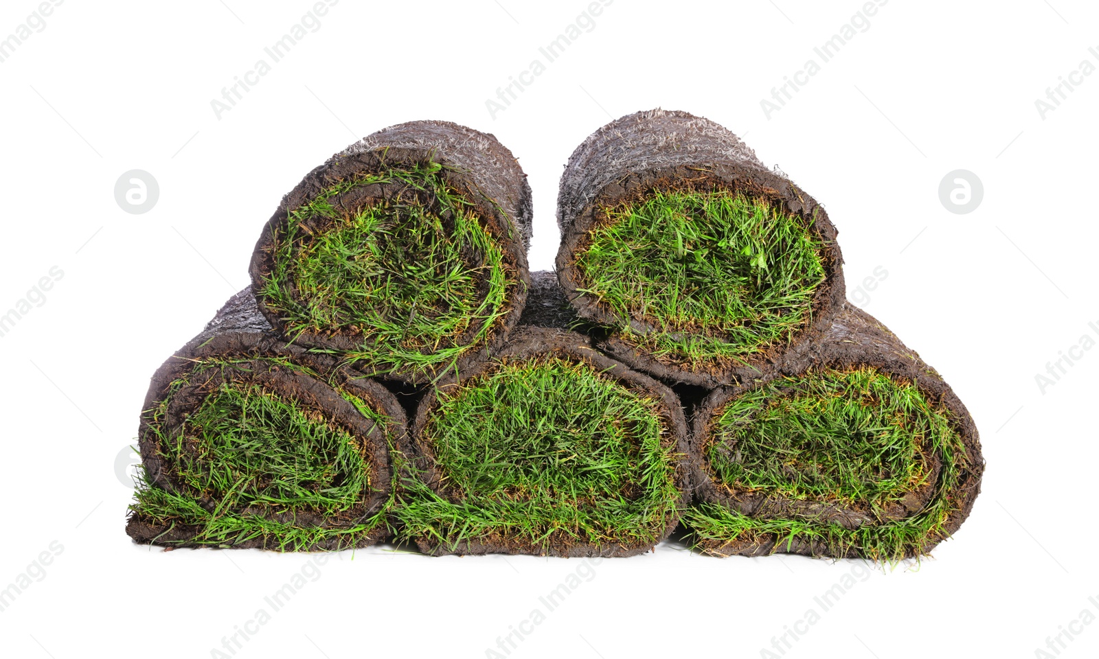 Photo of Rolls of grass sod on white background