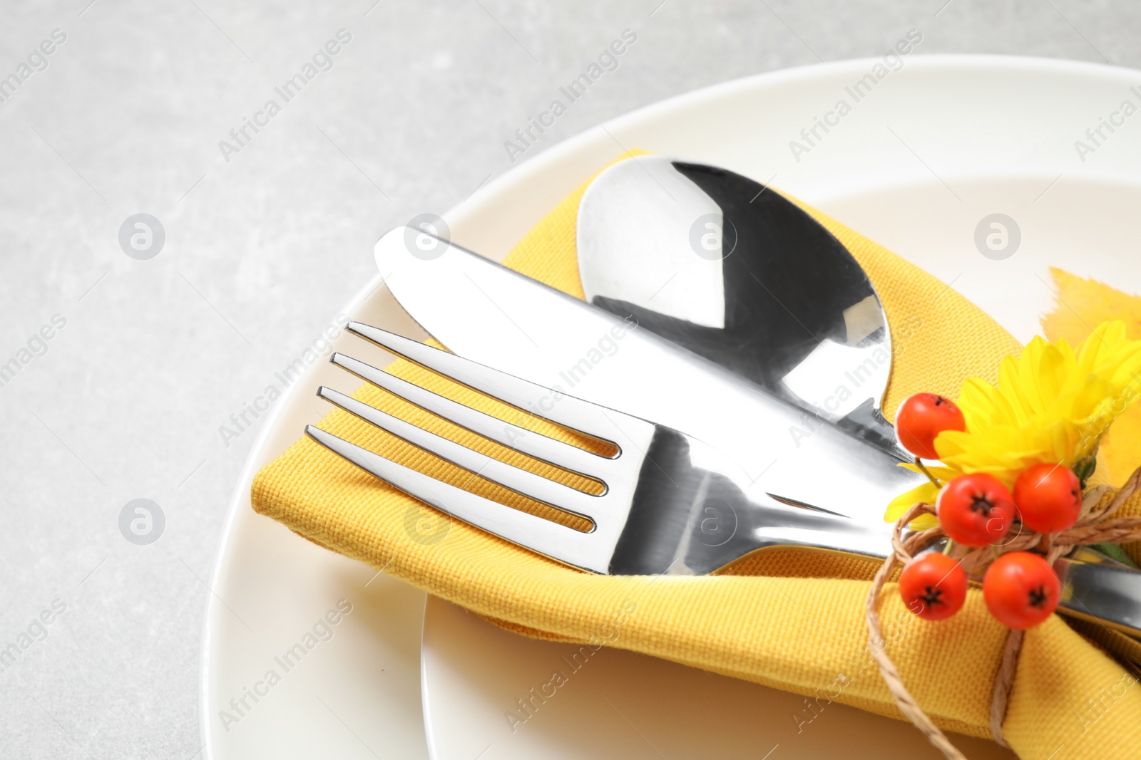 Photo of Closeup view of seasonal table setting with autumn flower and ashberries on light grey background. Thanksgiving Day