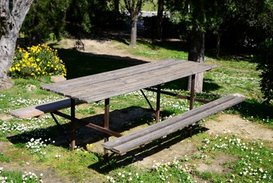 Photo of Empty wooden table with benches in park on sunny day