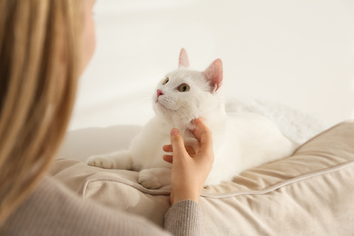 Photo of Young woman petting her beautiful white cat at home, closeup. Fluffy pet