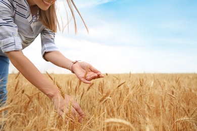 Photo of Young agronomist in grain field. Cereal farming