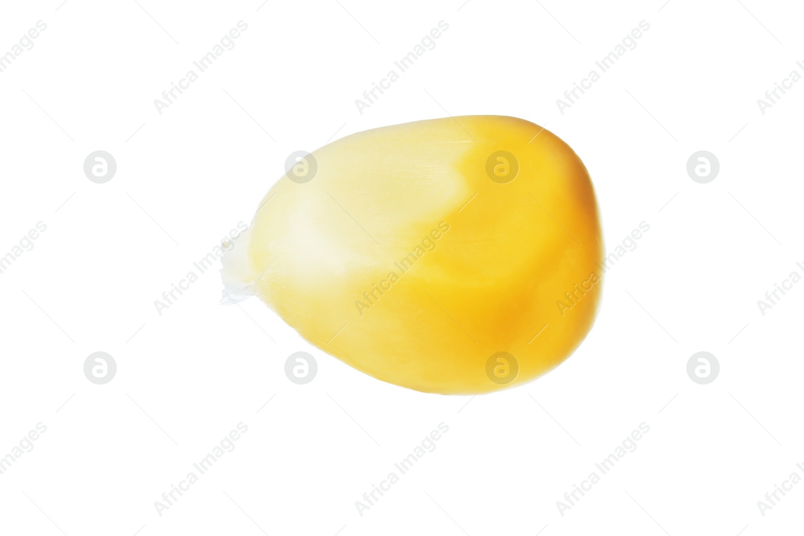 Photo of Small fresh corn kernel on white background