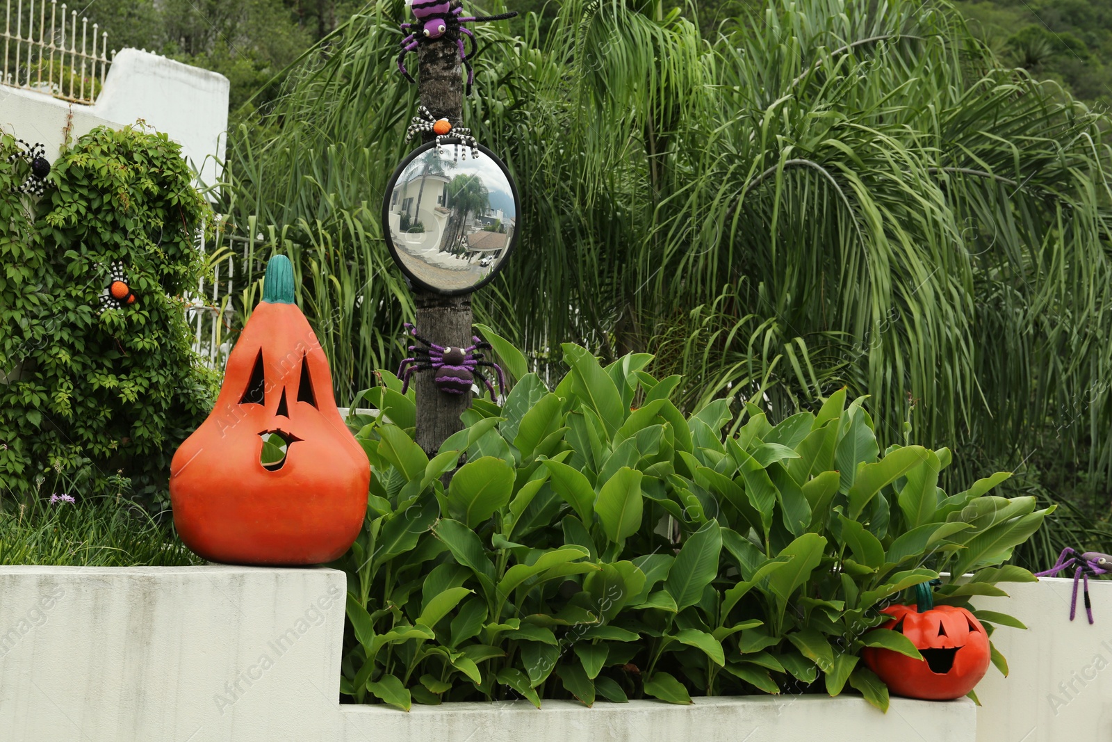 Photo of Different Halloween decor near green plants outdoors