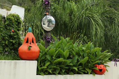 Different Halloween decor near green plants outdoors