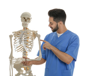 Photo of Male orthopedist with human skeleton model on white background