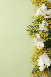 Beautiful floral composition with mimosa flowers on green background, flat lay. Space for text