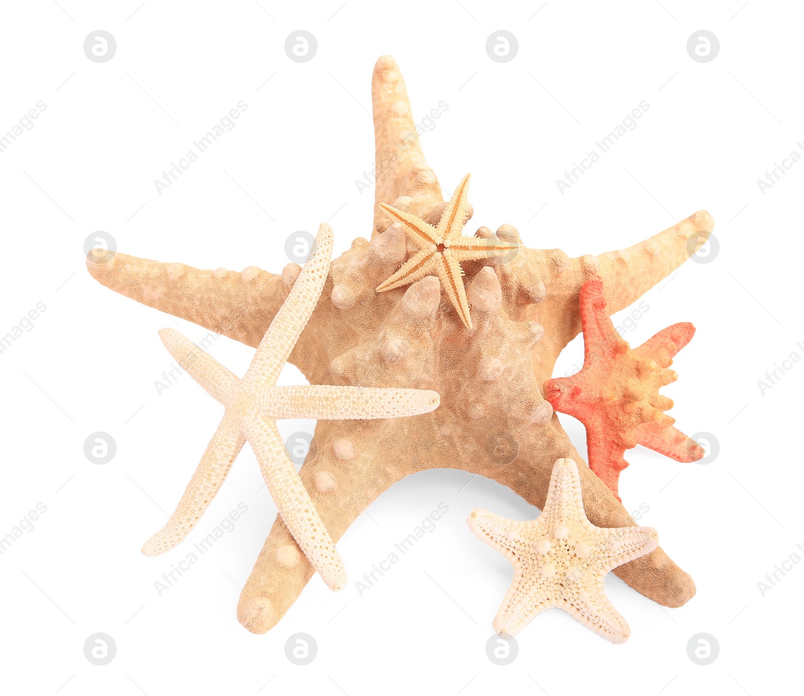 Photo of Many beautiful sea stars (starfishes) isolated on white