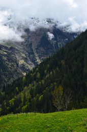 Picturesque view of mountain landscape with forest outdoors