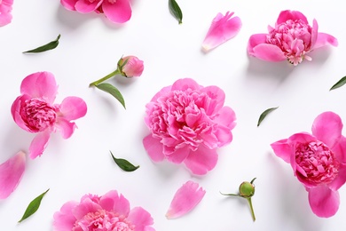 Photo of Beautiful peony flowers on white background, top view