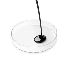 Pouring black crude oil into Petri dish on white background