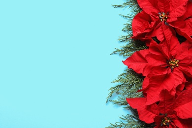 Photo of Flat lay composition with poinsettia and space for text on color background. Traditional Christmas flower