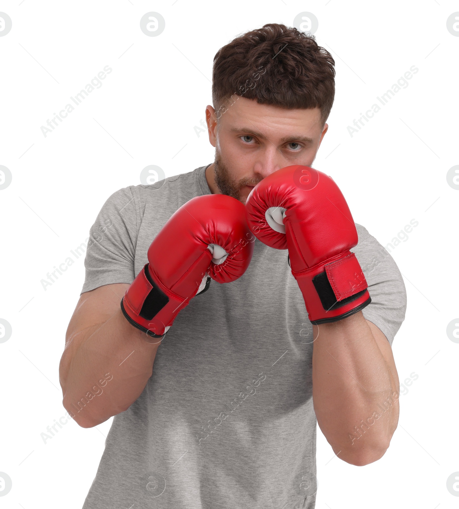 Photo of Man in boxing gloves fighting on white background