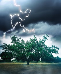 Image of Dark cloudy sky with lightning striking tree. Thunderstorm