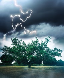 Dark cloudy sky with lightning striking tree. Thunderstorm