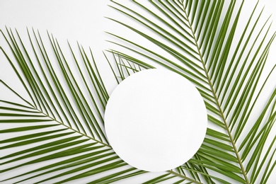 Flat lay composition with tropical date palm leaves on white background