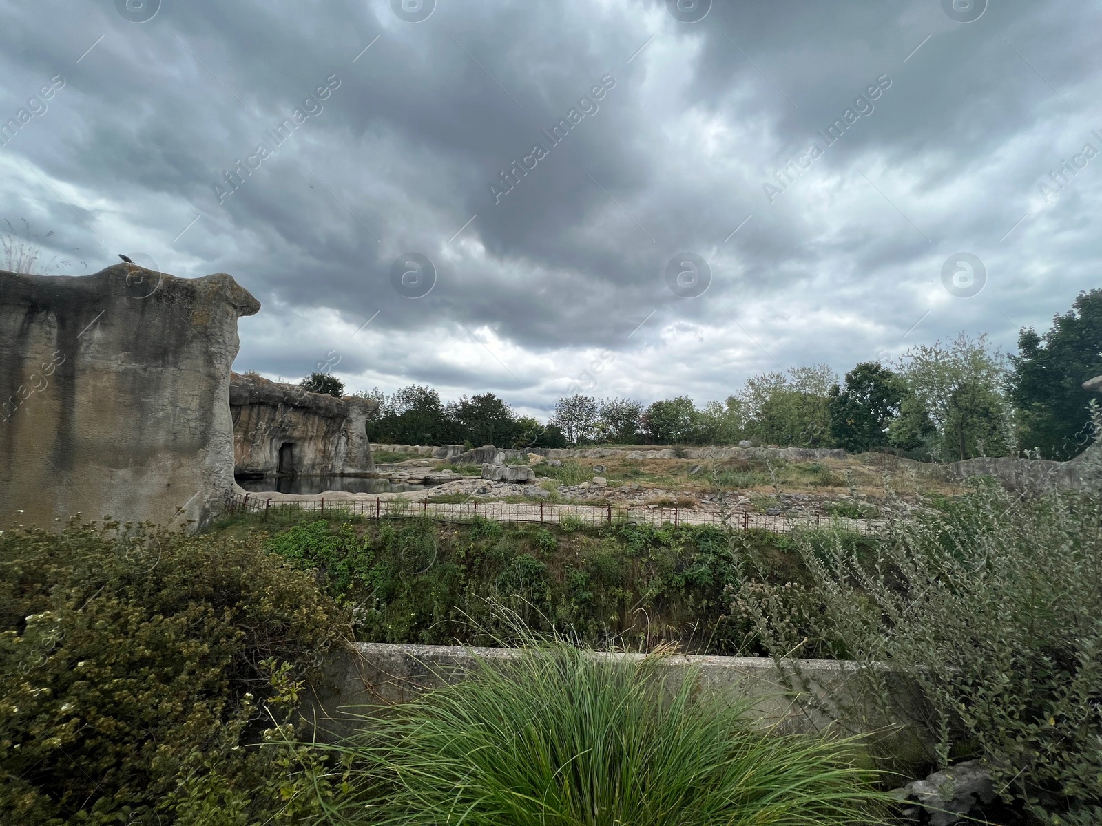 Photo of Rotterdam, Netherlands - August 27, 2022: Picturesque view of zoo enclosure with rock cliff