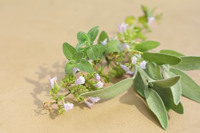 Photo of Fresh green mint, melissa and sage branches on beige background, closeup