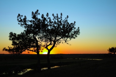 Photo of Picturesque view of tree near river at sunset