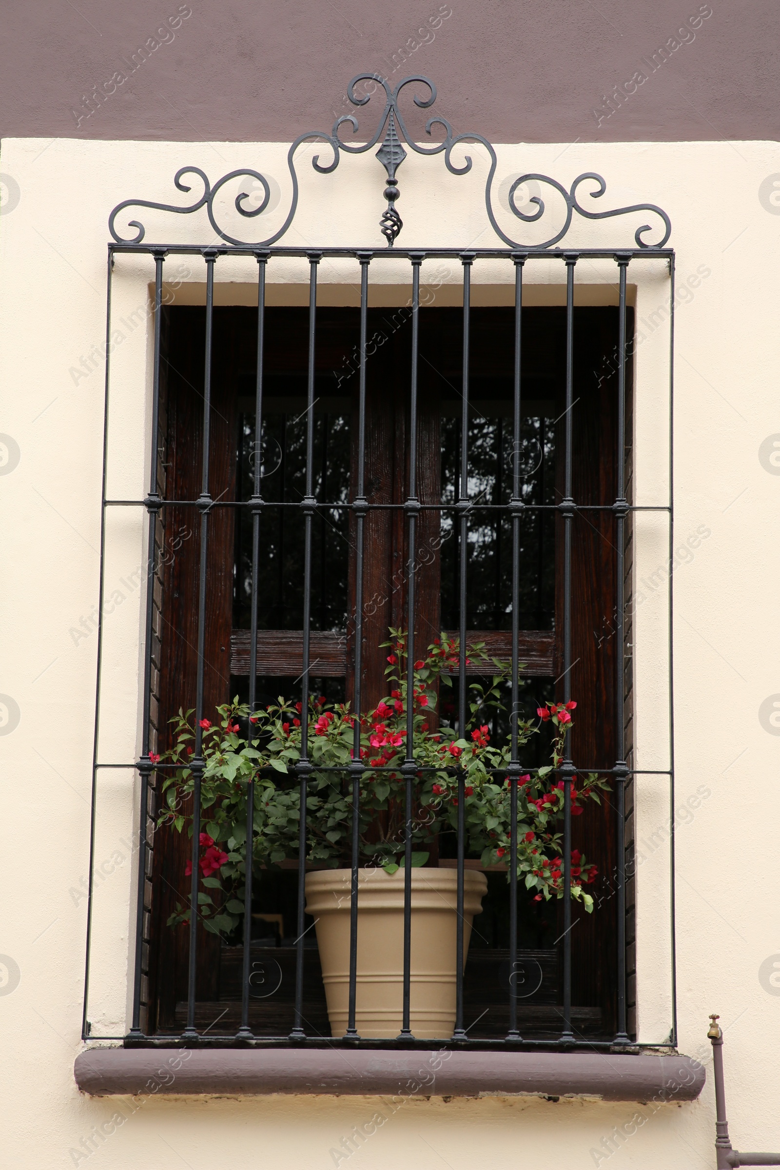 Photo of Building with wooden window and potted plant on windowsill