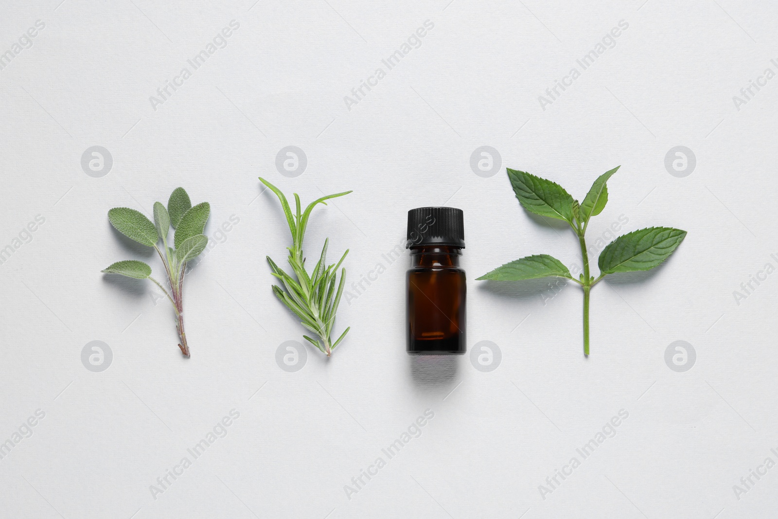 Photo of Bottle of essential oil, sage, rosemary and mint on white background, flat lay
