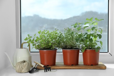 Photo of Different fresh potted herbs and gardening tools on windowsill indoors
