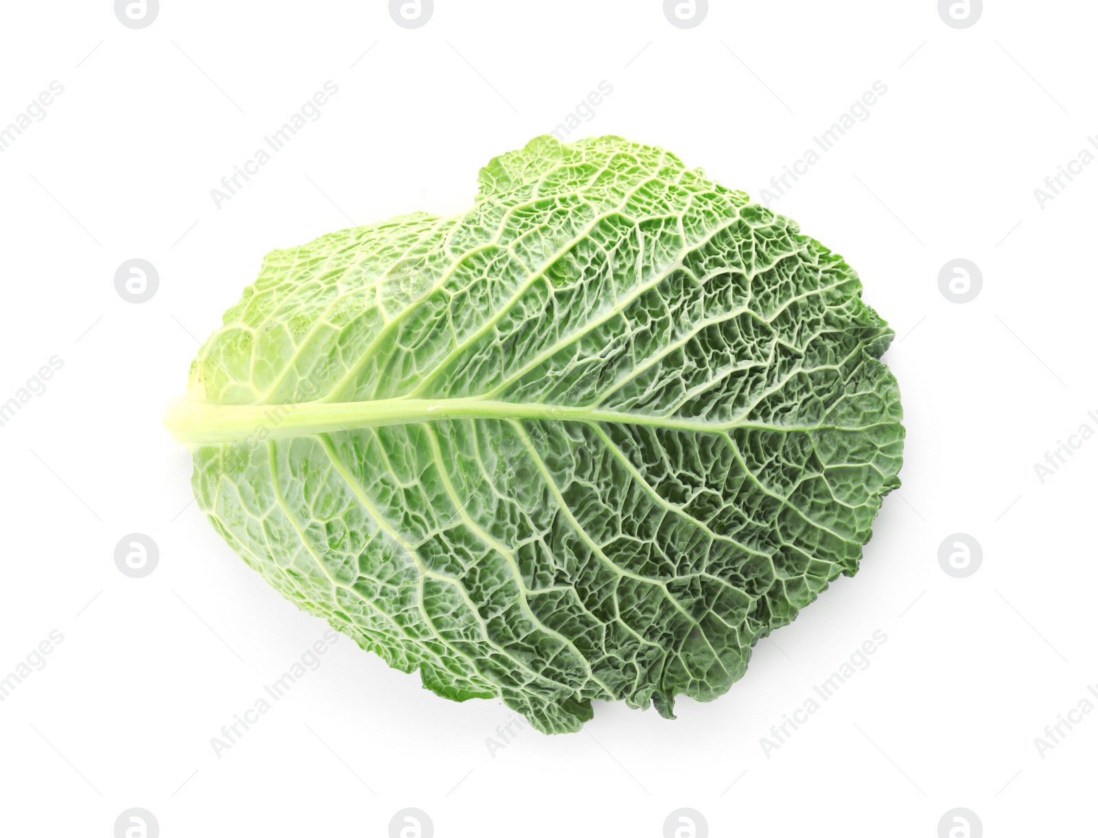 Photo of Green leaf of savoy cabbage on white background, top view