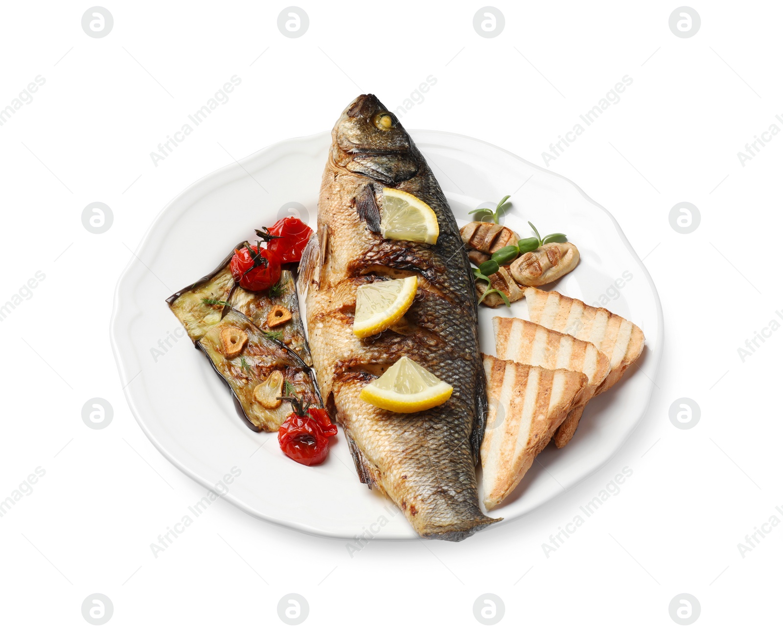 Photo of Plate with delicious sea bass fish and ingredients isolated on white