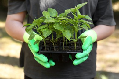Woman in gardening gloves holding plastic container with seedlings outdoors, closeup