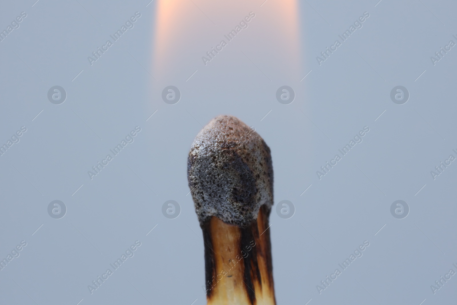 Photo of Burning match on light grey background, macro view