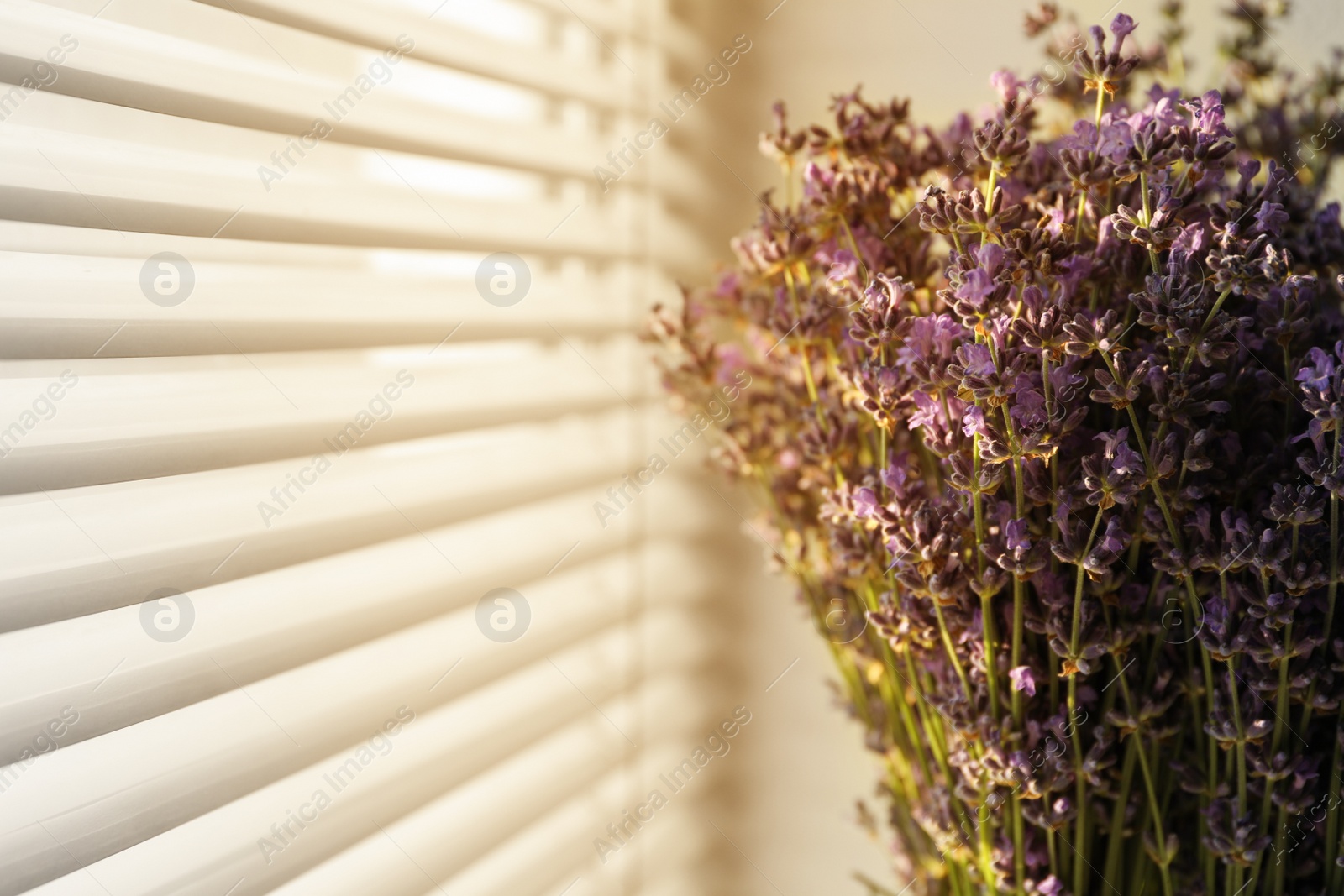 Photo of Beautiful lavender flowers near window indoors, closeup