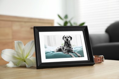 Photo of Pet funeral. Frame with picture of dog, collar and lily flower on wooden table indoors