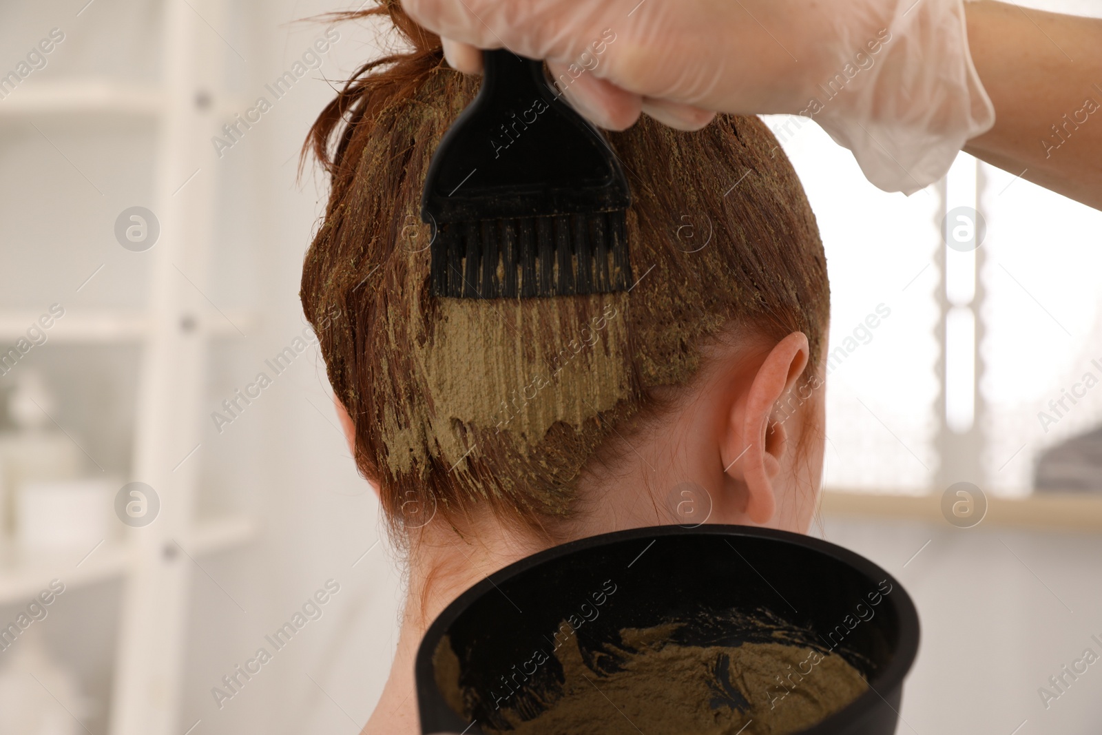 Photo of Professional hairdresser dyeing woman's hair with henna in beauty salon, back view