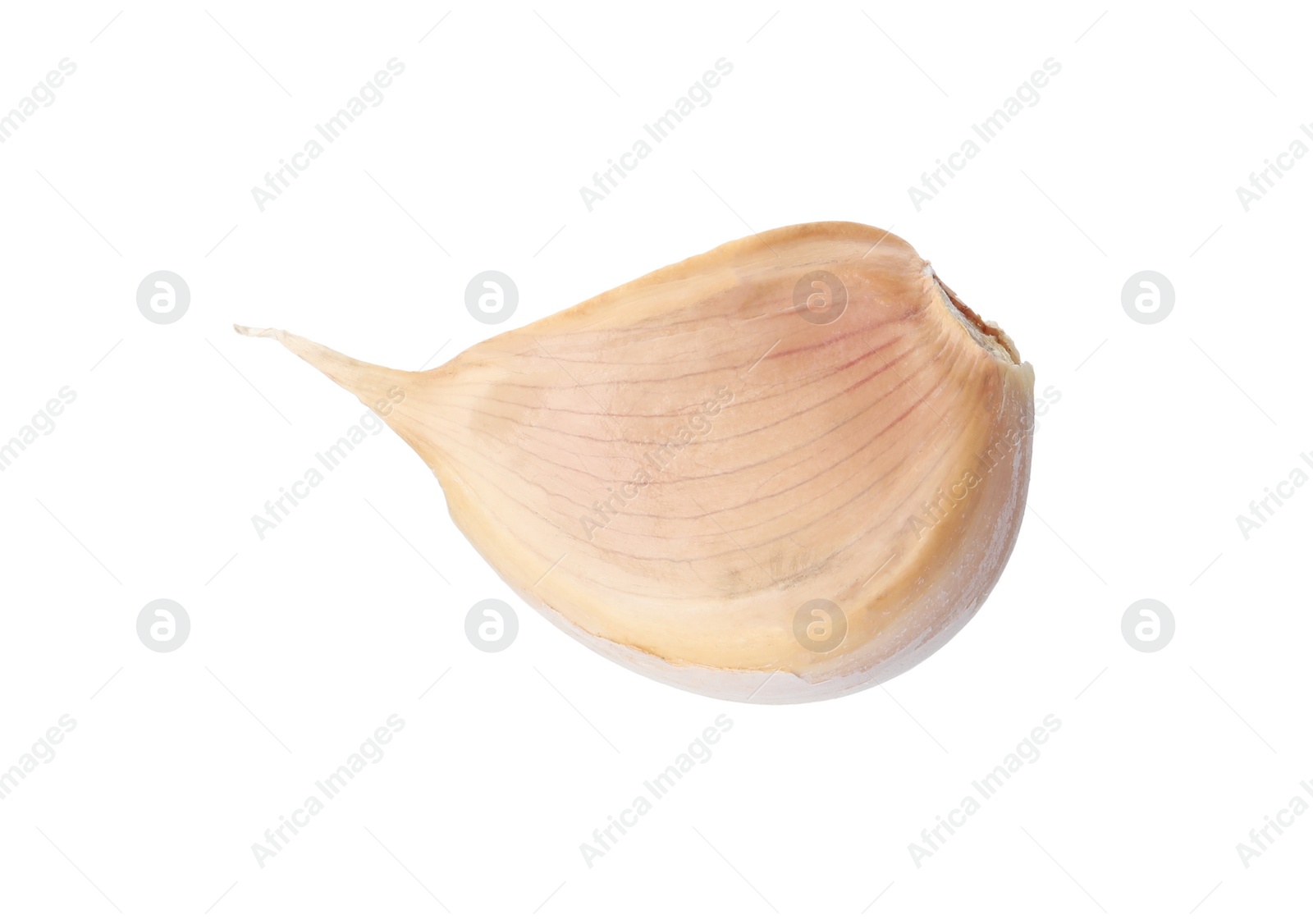 Photo of Fresh unpeeled garlic clove isolated on white. Organic food