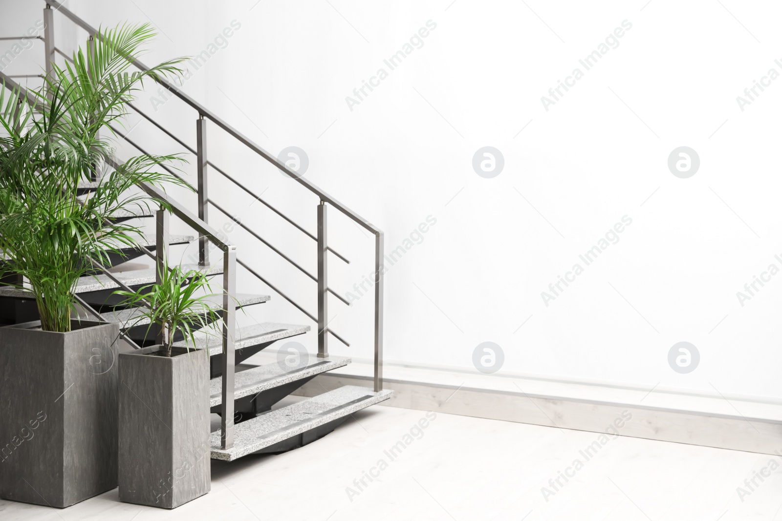 Photo of Beautiful tropical plants near stair indoors. Space for text